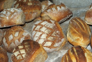 loaves with slashed crust